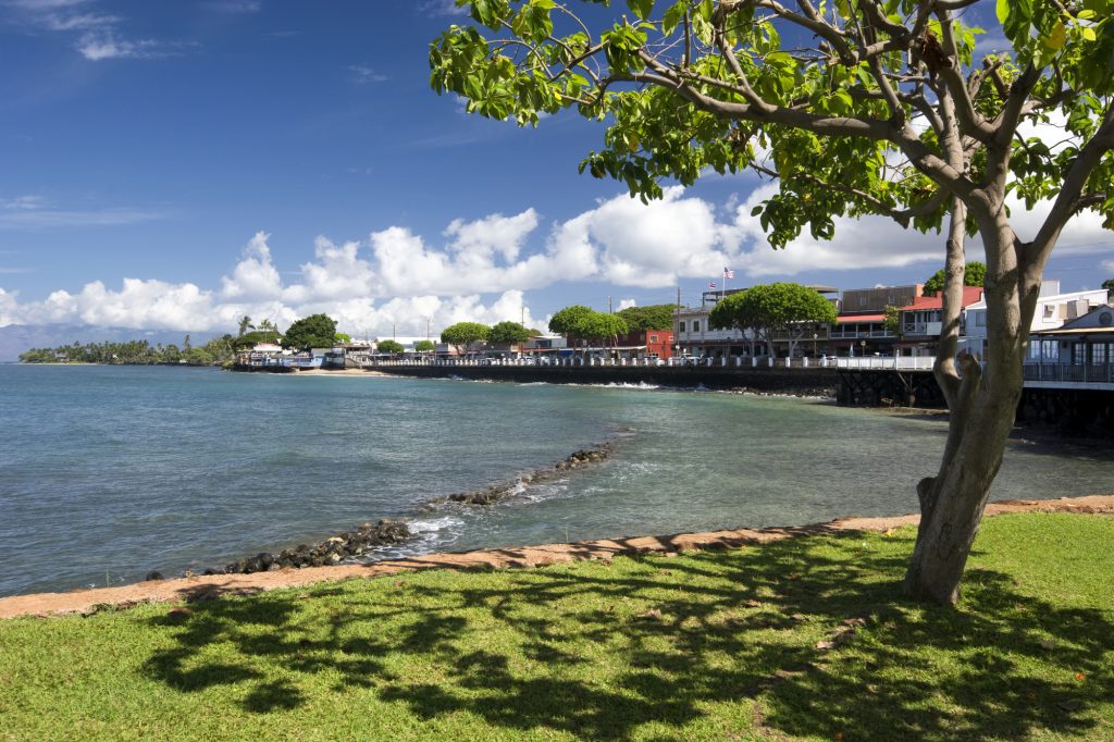 Injuries Reported After Evening Crash at Upton Dr & Elson Green Ave